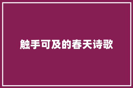 30万级超个性行政轿车 修长车身比宝马有气质 精致度堪比雷克萨斯