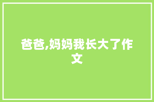 全新银灰外不雅观电动尾翼极越07有望9月上市能竞争比亚迪汉