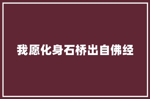 HUD挡视线宝马思路打开上全屏