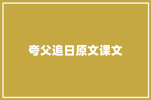 谜底揭晓私家车和坦克相撞后会怎么样