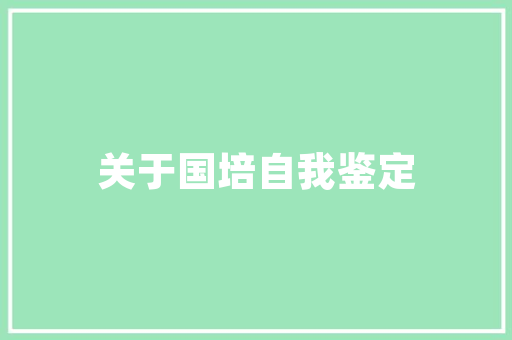 6款防滑链讲解不合路况不合路线不合车型你喜好哪种