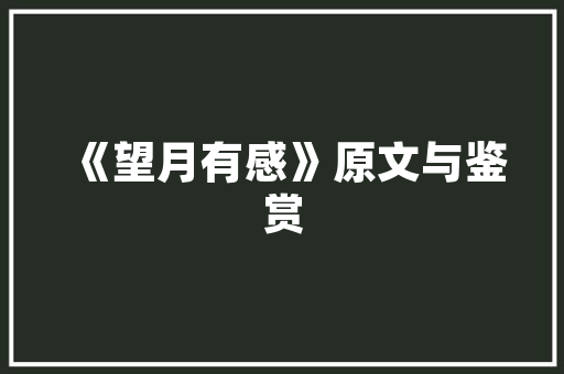 2024 款宝马 530i本质上仍为运动型豪华车