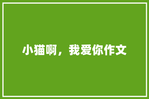 假如您只有8万元预算 这四款自立身牌A级轿车适合您